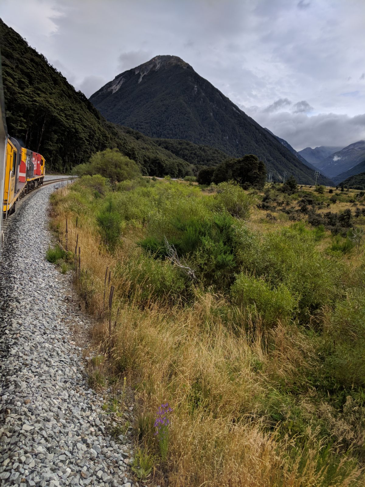 126--the next day I left Christchurch on the transalpine train headed for Greymouth