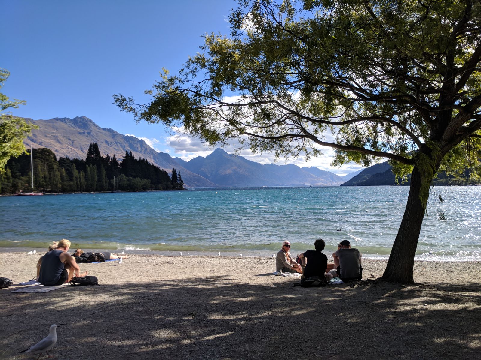 149--very hilly, but walked back down to the Queenstown Park with beach