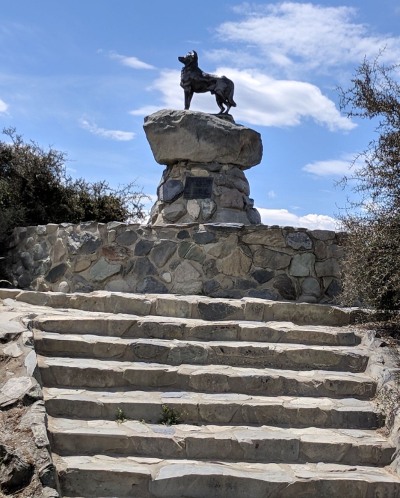 169-the-collie-dog-statue-helped-with-grazing-the-mountain-country1.jpg