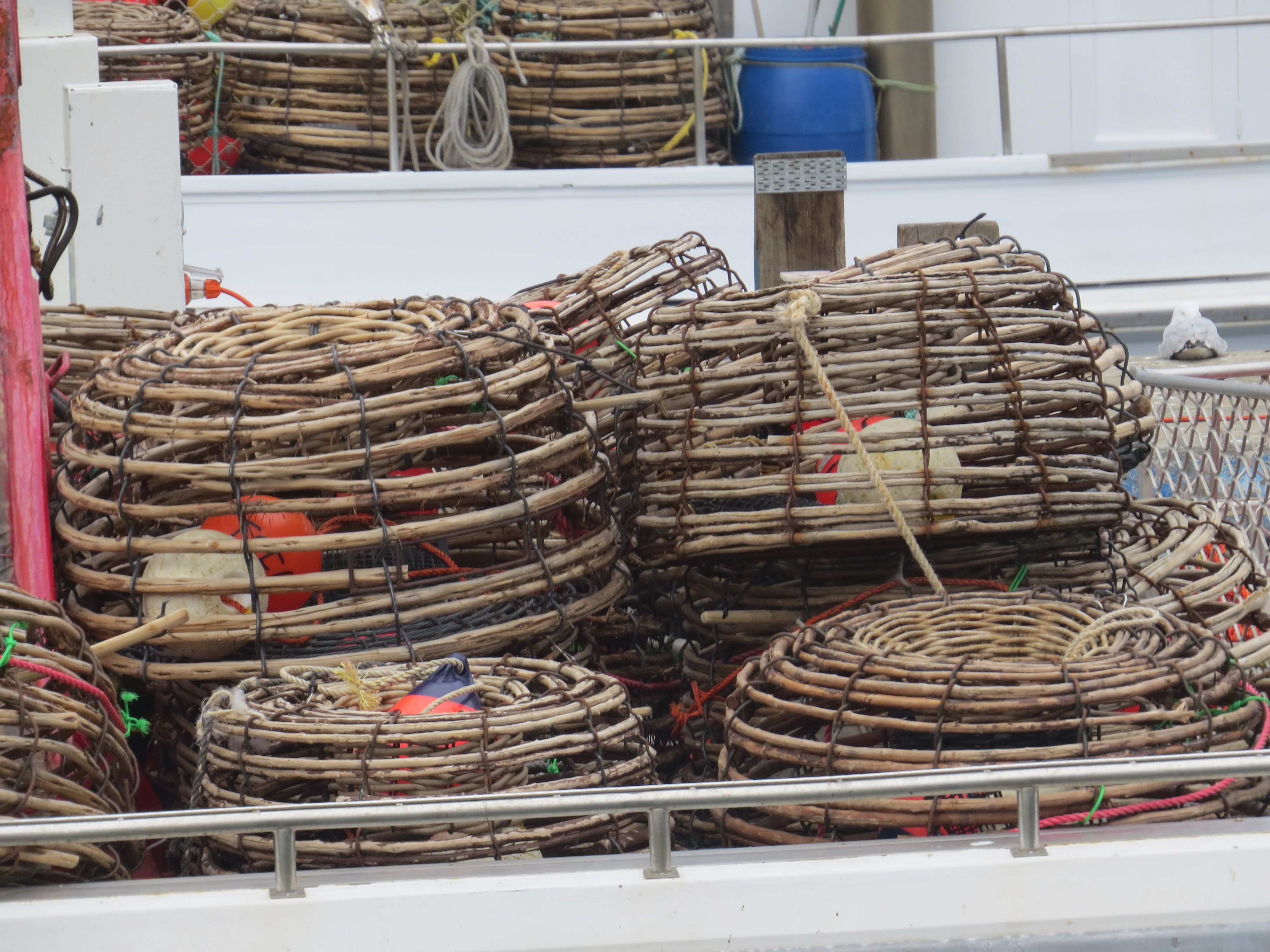50--like lobster pots but round